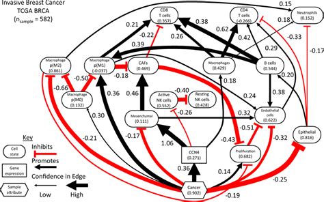 A Directed Acyclic Graph Dag Representing The Conditional Probability