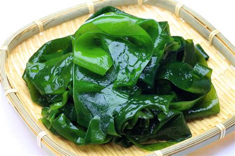 Seaweed Wakame All Body Fitness