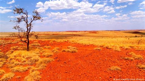 Australia registra 50 7 grados y alcanza un sorprendente récord de