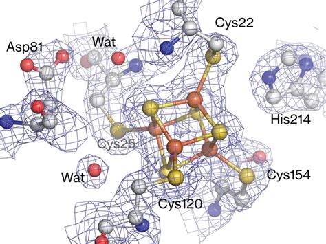 Iucr Structural And Spectroscopic Characterization Of Co Inhibition