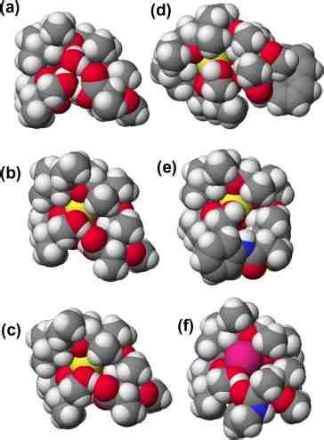 Space Filling Models Of The Structures Presented In Figure 2 The