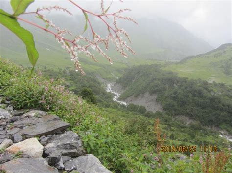 Valley Of Flowers National Park Part Of Nanda Devi Biosphere