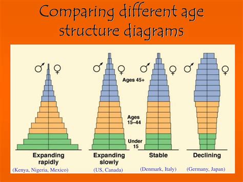 Age Structure Diagrams Increasing Population Age Structure D