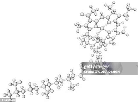 4659 Chlorophyll A Stock Photos High Res Pictures And Images Getty