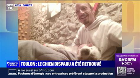 Milky Le Chien Disparu Depuis Plus De Deux Semaines Toulon A T