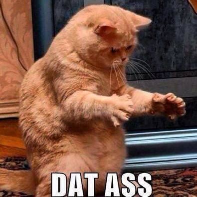 DAT ASS R Funny