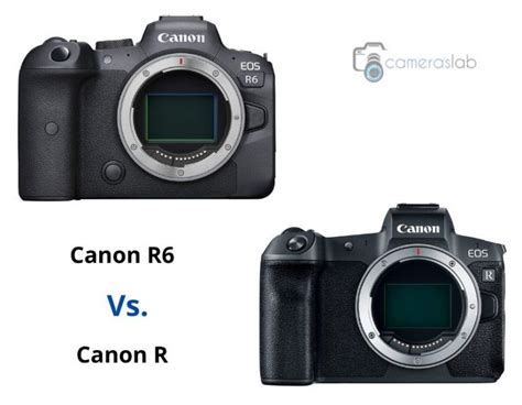 Canon R6 vs R - See Why Canon R6 is the Best Mirrorless Camera!