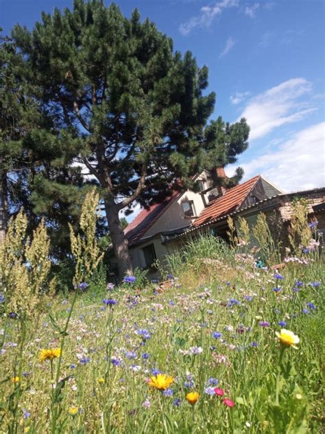 Kleines Haus Mit Garten Am Stadtrand Berlins Er Wg Wgs In Berlin Karow