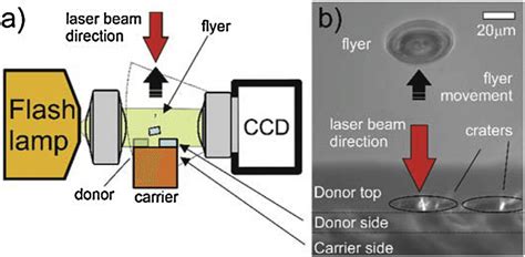 A Schematic Side View Of Shadowgraphy Imaging Setup And B Image