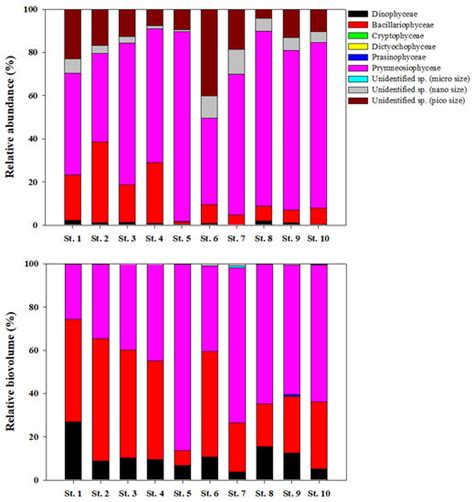 Water Free Full Text In Situ Rates Of Carbon And Nitrogen Uptake By