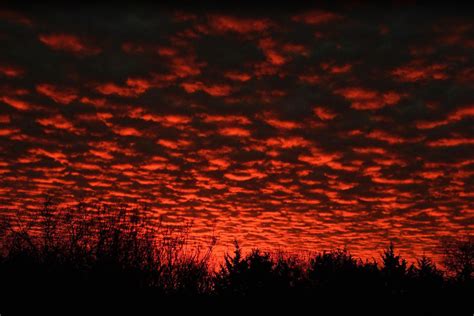 About — Beauty In Chaos