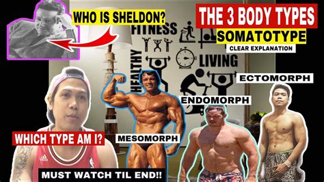 THE 3 TYPES OF THE BODY | SOMATOTYPE X SHELDON THEORY VLOG #17 # ...