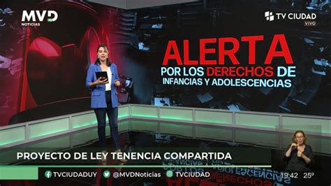 MVD Noticias Informe Proyecto De Ley De Tenencia Compartida YouTube