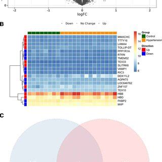 A Volcano Plot For The Differential Expression Analysis B Heatmap