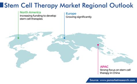 Stem Cell Therapy Market Size And Share Report 2030