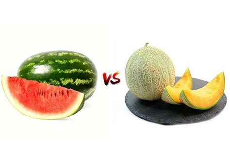 Watermelon Vs Muskmelon Which Is Better Comparison Between