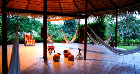 Amazon Rainforest Eco Park Lodge | 4* & 5* Brazil Jungle Tours