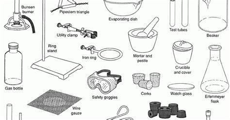 Examples Of Laboratory Equipment