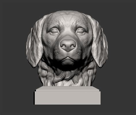 Fichier 3D Golden retriever Modèle imprimé en 3D Modèle imprimable en