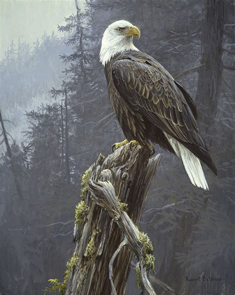 Art Country Canada ROBERT BATEMAN Bald Eagle Coastal Paradise Giclee