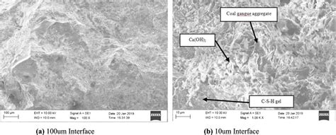 Sem Morphology Of Cement Stabilized Coal Gangue Mixture For Days