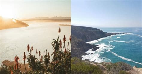 Garden Route Road Trip Itinerary In South Africa Flytrippers