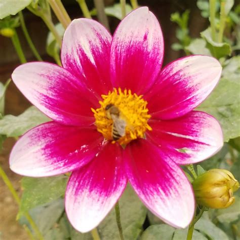 Requiem To... | ∞ | The Museum of Viral Memory