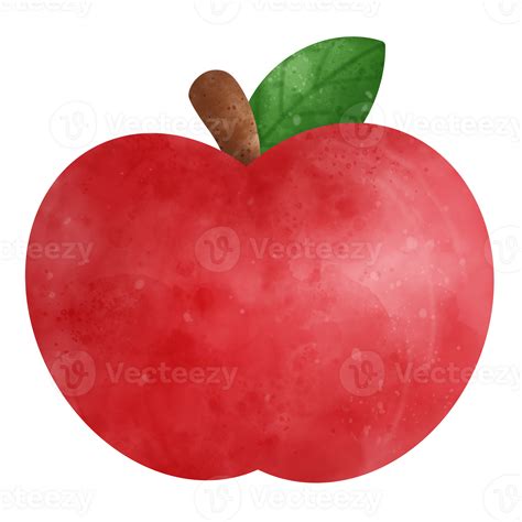 Apple Fruit Watercolor Illustration 24043675 Png