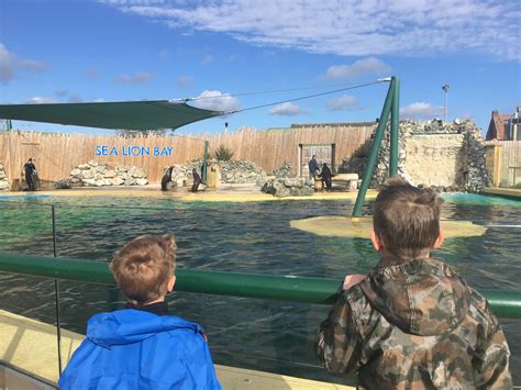 Banham Zoo - Where To Go With Kids - Norfolk