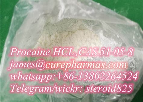 Procaine Hclprocainecas51 05 8safe Deliverywhatsappsignal86