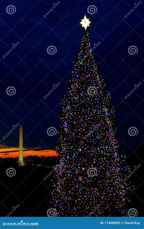 Washington DC Christmas Tree Stock Image - Image of light, sunset: 17400895