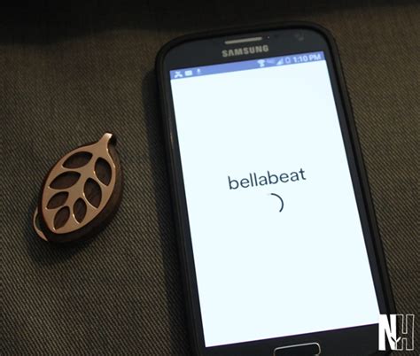 Bellabeat Leaf {review}