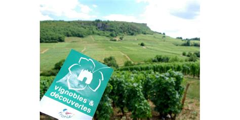 Roman Che Thorins Vignobles D Couvertes Un Label Qui Monte En