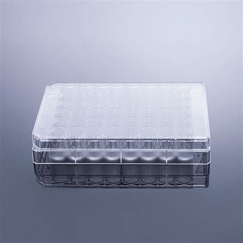 48wells Transparent Plate Clear Cover Tc Treated Sterile In Blister Box