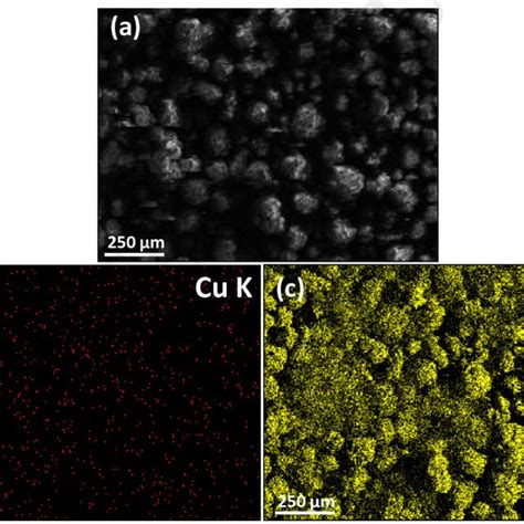 Example Of SEM Image A And EDX Analyses For 1 Wt Cu Al2O3 Catalyst