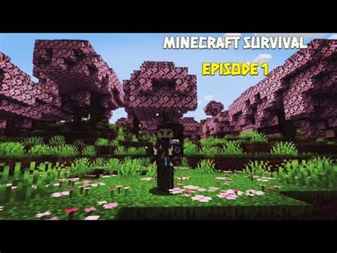 Minecraft Survival Ep Diamond Agad Youtube