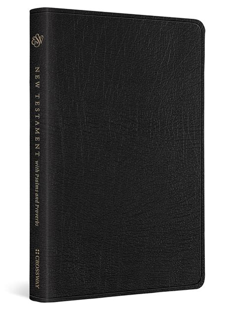 Amazon Holy Bible English Standard Version New Testament With