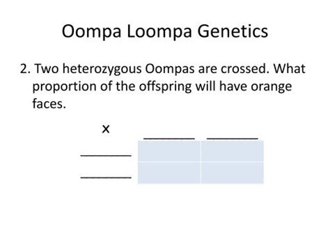 Oompa Loompa