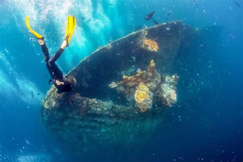 Bali Tulamben Bay And The USAT Liberty Wreck Dive GetYourGuide