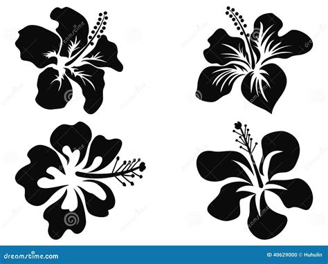 Hibiscus Vector Silhouettes Stock Vector Image 40629000