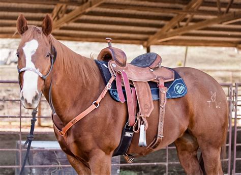 Best Ever Pads Custom Western Saddle Pad Barrel Racing Horses Rodeo