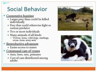 Social Behavior in Animals | PPT