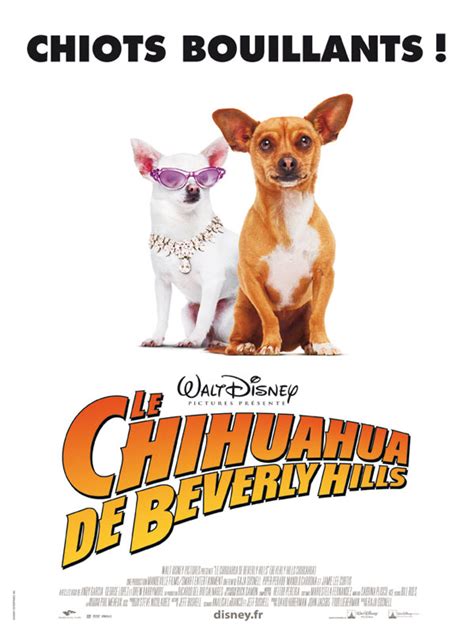 Cartel de la película Un chihuahua en Beverly Hills Foto 23 por un