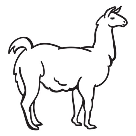 Vectores Plantillas De Alpaca Ai Png Svg