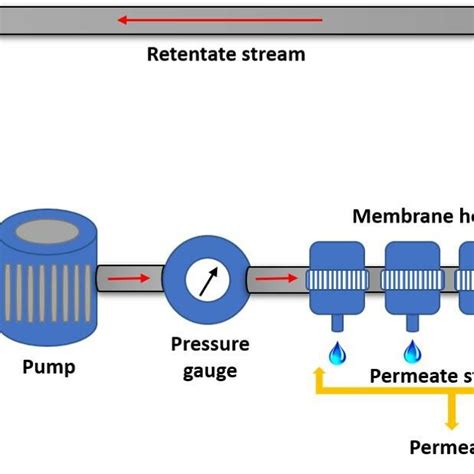 Schematic Diagram Of Cross Flow Filtration Cell Download Scientific Diagram