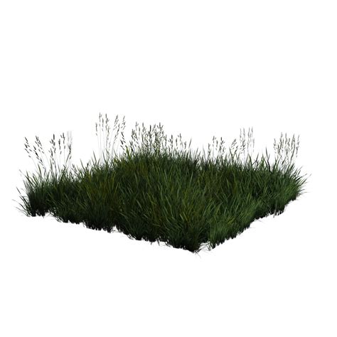 Grass Texture Alpha