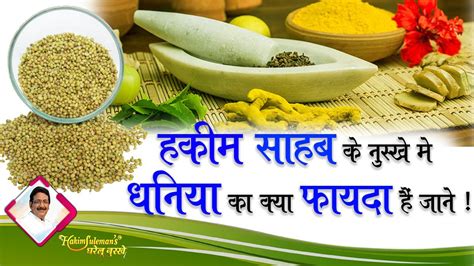 Benefits Of Coriander धनिया के फायदे जानकर रह जाओगे आप दंग Hakim