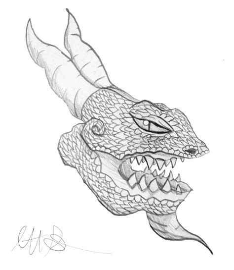 Dragon Head (Pencil Sketch) by ScottDiGregorio on DeviantArt