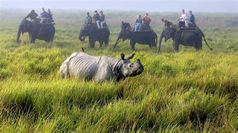 Photo Gallery: Best Guided Tours -- National Geographic