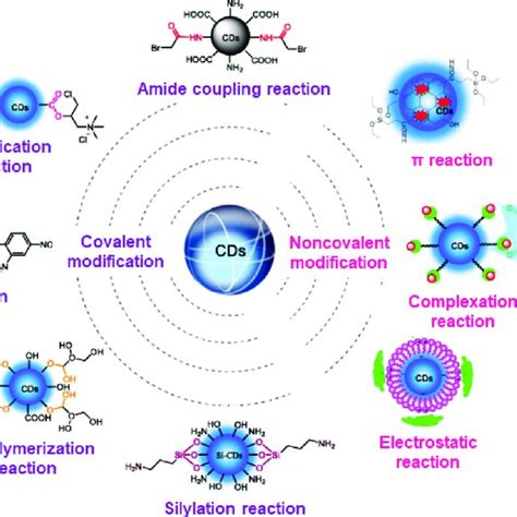 Schematic Illustration Of Chemical Binding Strategies To Decorate CDs